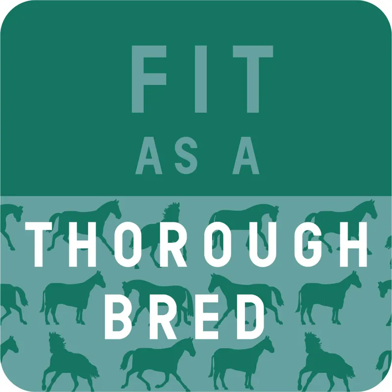 Gubblecote Fit as a Thoroughbred Coaster